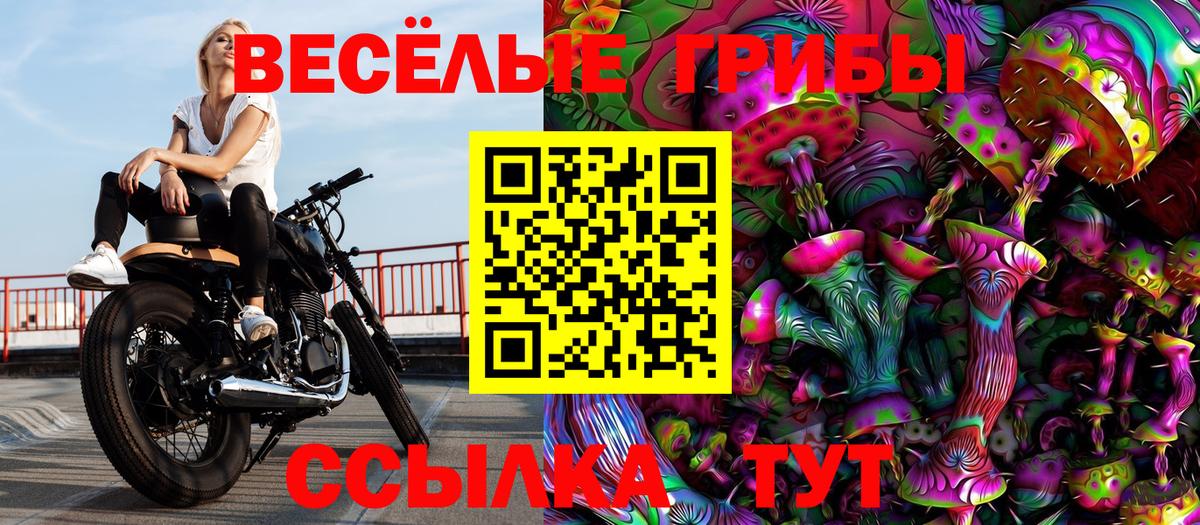 Псилоцибиновые грибы Cubensis Богородицк
