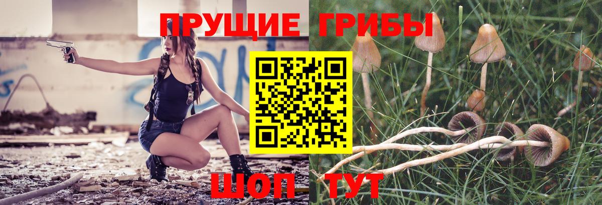 Галлюциногенные грибы MAGIC MUSHROOMS  Вход с VPN  Галлюциногенные грибы MAGIC MUSHROOMS  где купить наркоту  Богородицк 
